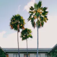 ハワイ州立図書館の写真・動画_image_694909