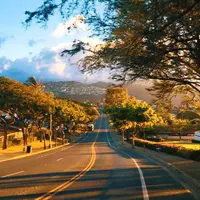 18th Aveの写真・動画_image_694946