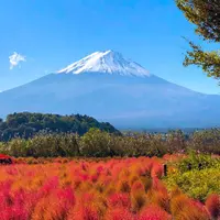 河口湖自然生活館の写真・動画_image_696615