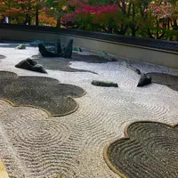 龍吟庵の写真・動画_image_697802