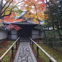 高桐院の写真・動画_image_697807