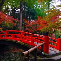 北野天満宮の写真・動画_image_697808