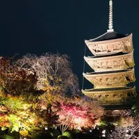 東寺（教王護国寺）の写真・動画_image_697809