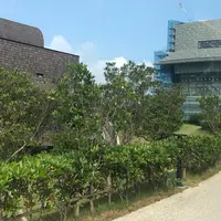 OISTシーサイドハウスの写真・動画_image_698666