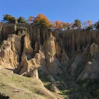 阿波の土柱の写真・動画_image_698821