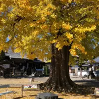 地蔵寺の写真・動画_image_698822