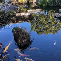 安楽寺の写真・動画_image_698824