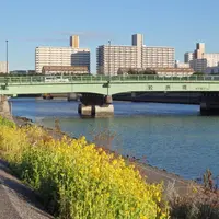 しながわ花海道水辺広場の写真・動画_image_700722