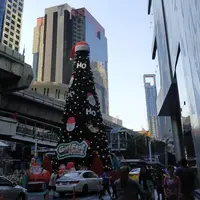 ロータスマッサージの写真・動画_image_701794