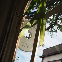 ドー・ドーナツの写真・動画_image_702545