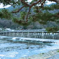 渡月橋の写真・動画_image_705470