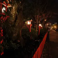 祇園白川の写真・動画_image_705553
