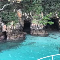 辰ノ島の写真・動画_image_706332