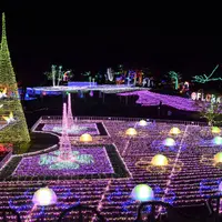 フローランテ宮崎の写真・動画_image_709381