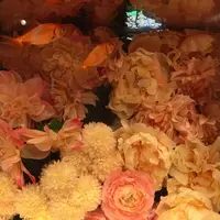 奈良金魚ミュージアムの写真・動画_image_710309