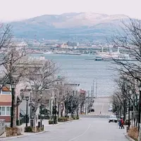 八幡坂の写真・動画_image_713468