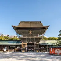 筥崎宮の写真・動画_image_715401