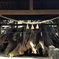 国造神社の写真・動画_image_715874