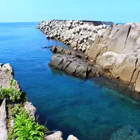 照島海岸の写真・動画_image_715979