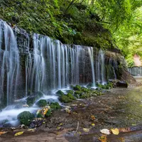 白糸の滝の写真・動画_image_716084