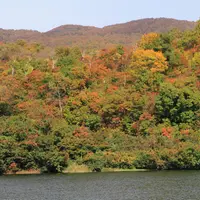 なべくら高原の写真・動画_image_716631