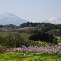 丹霞郷の写真・動画_image_717159