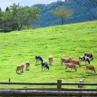 高千穂牧場の写真・動画_image_717292