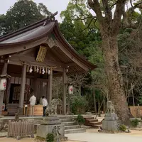 竈門神社の写真・動画_image_720034