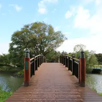 天王グリーンランドの写真・動画_image_720670