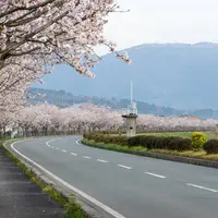 風車街道の写真・動画_image_720698
