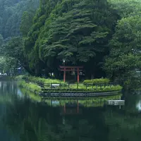 出の山公園の写真・動画_image_721261