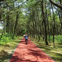 阿波岐原森林公園の写真・動画_image_721872