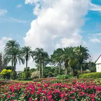 フローランテ宮崎の写真・動画_image_721876