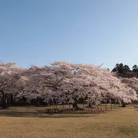 三神峯公園の写真・動画_image_723192