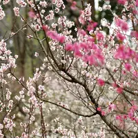 浜田森林総合公園の写真・動画_image_723714