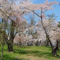 青葉ヶ丘公園の写真・動画_image_724322