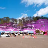 東藻琴芝桜公園の写真・動画_image_724323