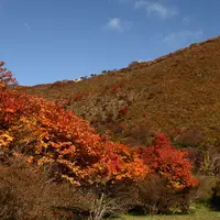 恵山つつじ公園の写真・動画_image_724328