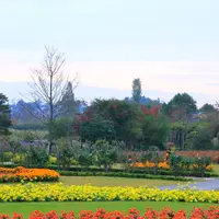 清水公園花ファンタジアの写真・動画_image_724656