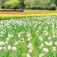 道の駅しょうわ　ブルーメッセあきたの写真・動画_image_725384