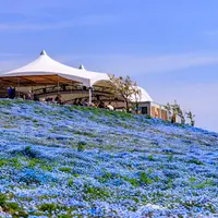 大阪まいしまシーサイドパークの写真・動画_image_728426