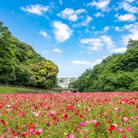 くりはま花の国の写真・動画_image_729028