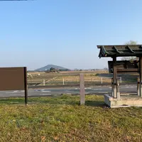 藤原宮跡朱雀大路跡の写真・動画_image_729080