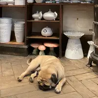 Astier de Villatteの写真・動画_image_731018