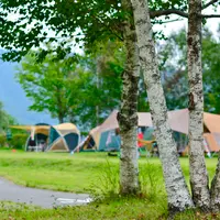 こだまの森 キャンプ場の写真・動画_image_731423