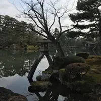 兼六園の写真・動画_image_731500
