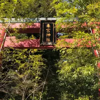 来宮神社 鳥居の写真・動画_image_732605