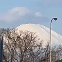 gooz EXPRESS平塚PA店の写真・動画_image_732610