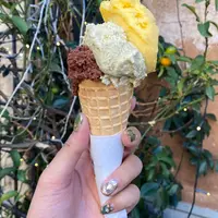 Gelateria del Teatroの写真・動画_image_733346