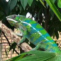 体感型動物園 『iZoo』の写真・動画_image_734196